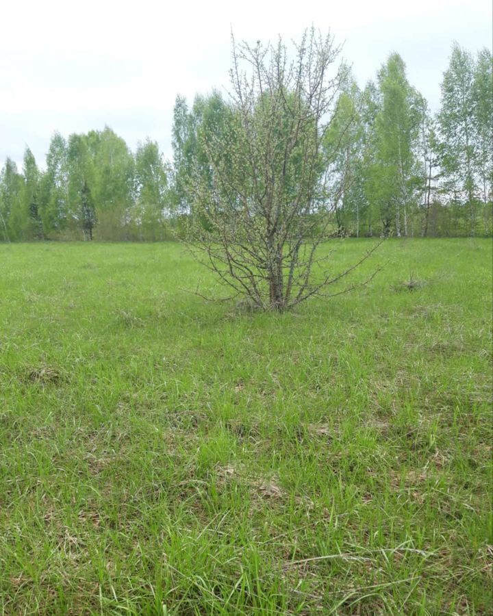 земля р-н Рязанский с Долгинино Мурминское сельское поселение, Мурмино фото 2