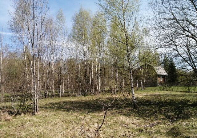 Бургинское сельское поселение, Малая Вишера фото