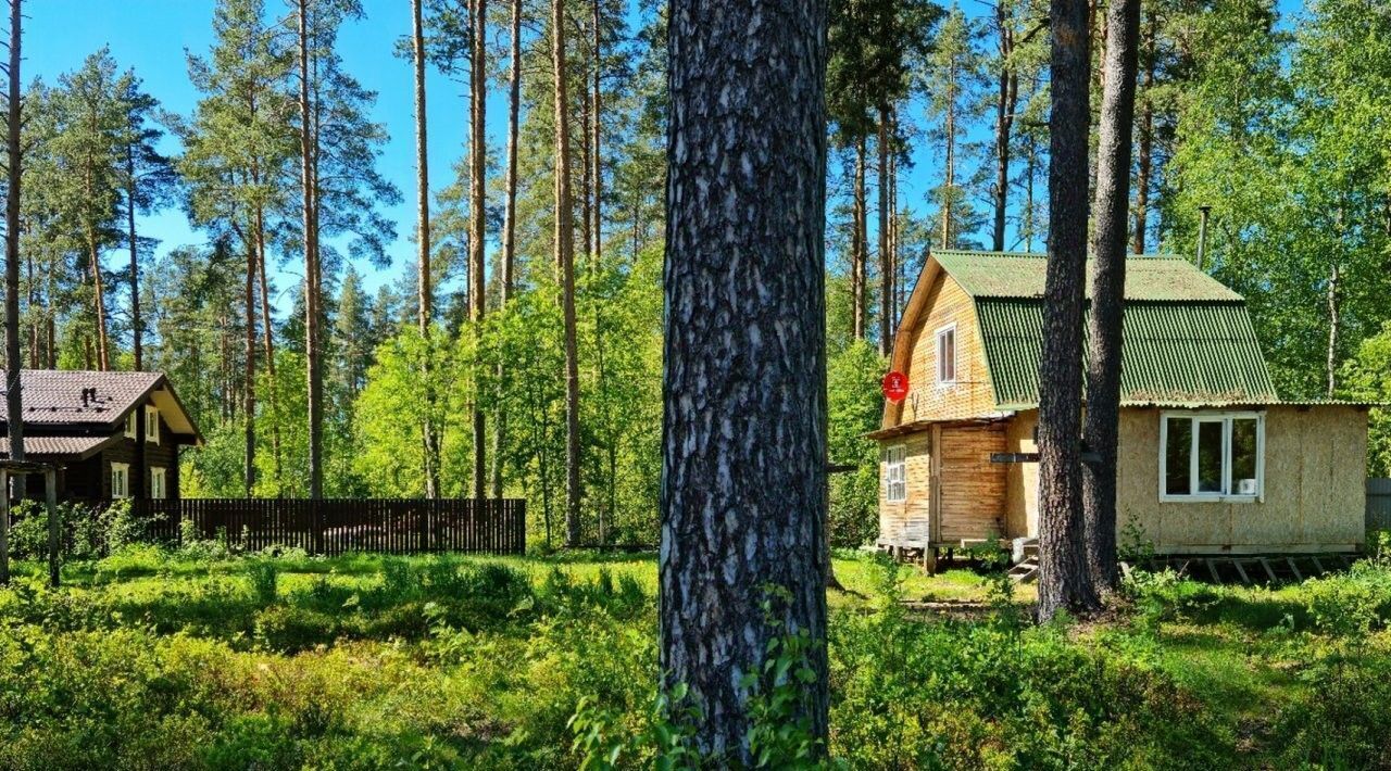 дом р-н Гатчинский Вырица городской поселок, Купчино, ул. Мира фото 1