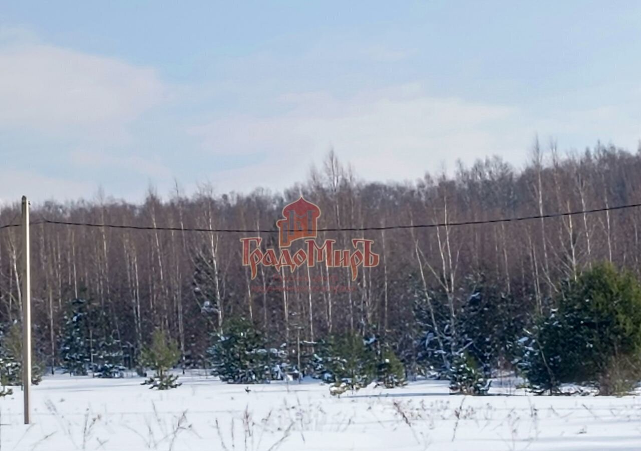 земля городской округ Сергиево-Посадский д Селково Богородское фото 18