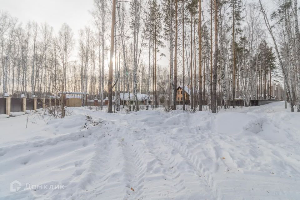 земля г Челябинск р-н Центральный городской округ Челябинск, СНТ Мичуринец фото 3