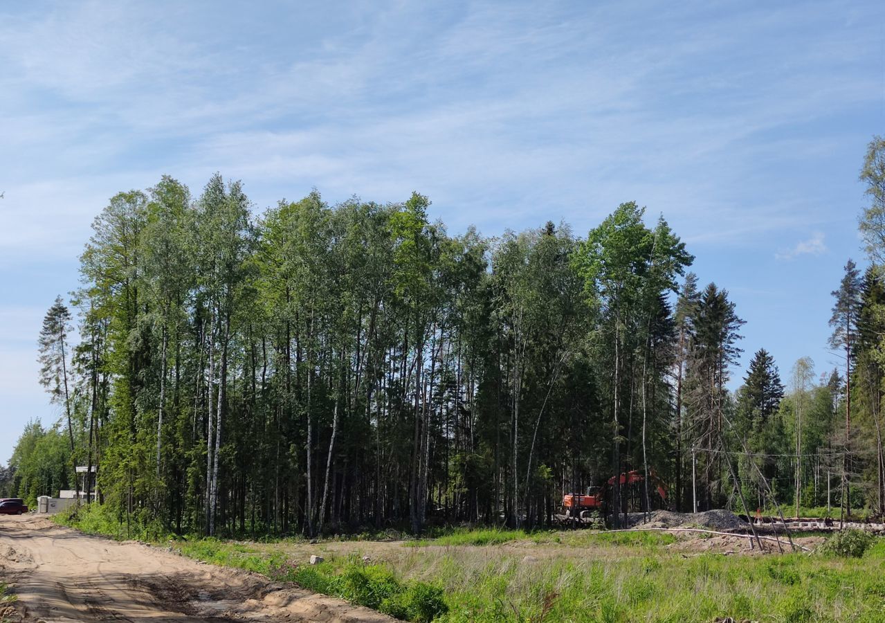 земля р-н Всеволожский массив Мертуть днп Озерная долина Сертоловское городское поселение, Сертолово, дачное некоммерческое партнёрство фото 8