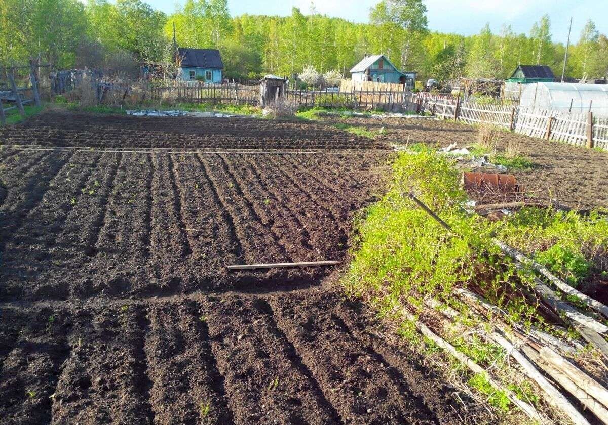 земля р-н Комсомольский снт Галичное Абрикосовая ул, Комсомольск-на-Амуре фото 6