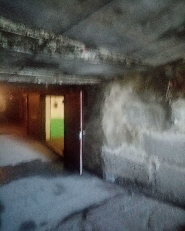 гараж г Бийск пер Николая Гастелло Спичка фото 3