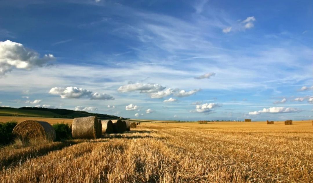 земля р-н Джанкойский с Светлое Джанкой фото 1