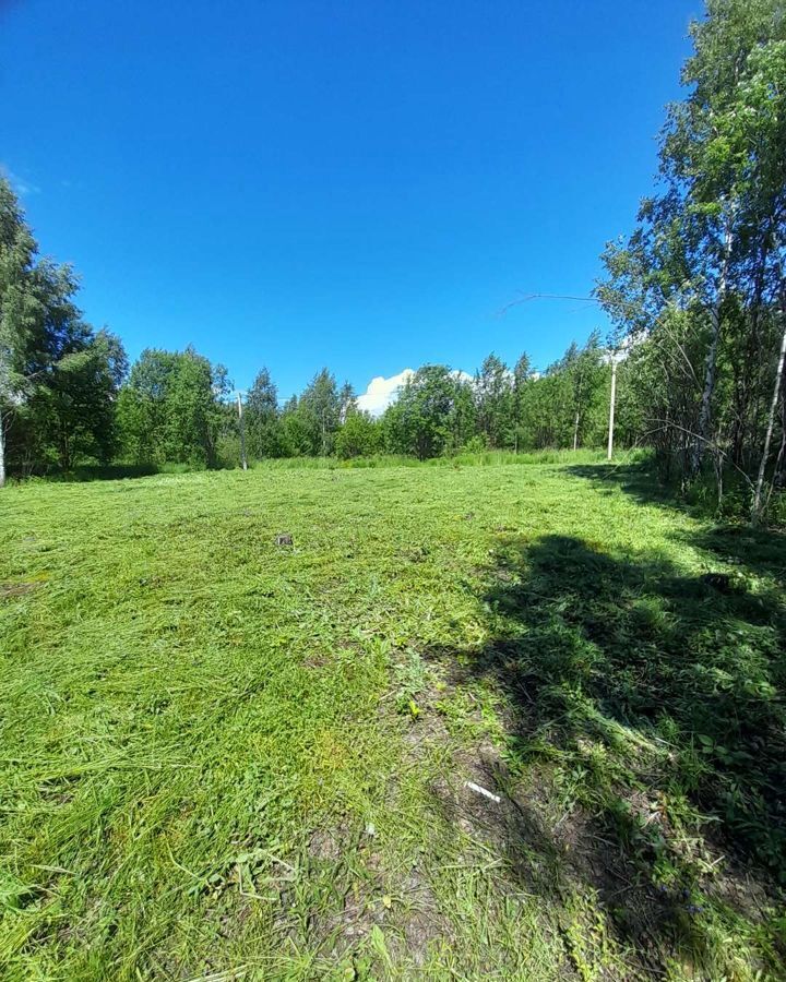 земля р-н Городецкий г Городец с. Смольки, Кляфинская ул фото 3