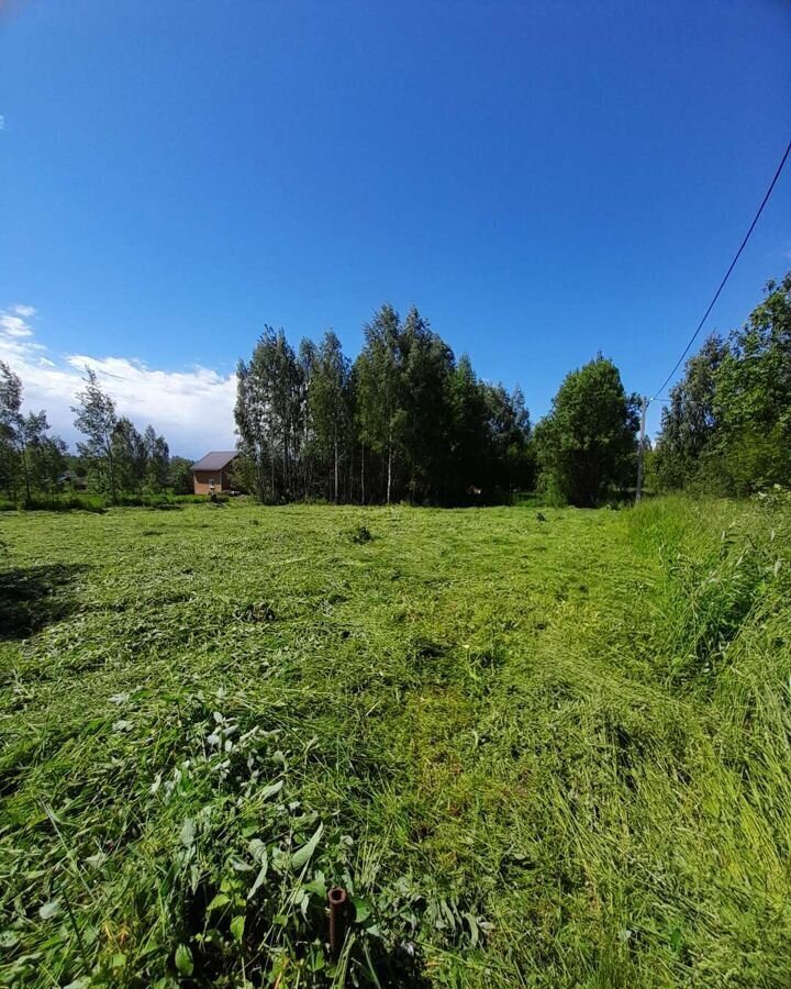 земля р-н Городецкий г Городец с. Смольки, Кляфинская ул фото 2