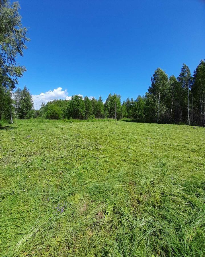 земля р-н Городецкий г Городец с. Смольки, Кляфинская ул фото 5