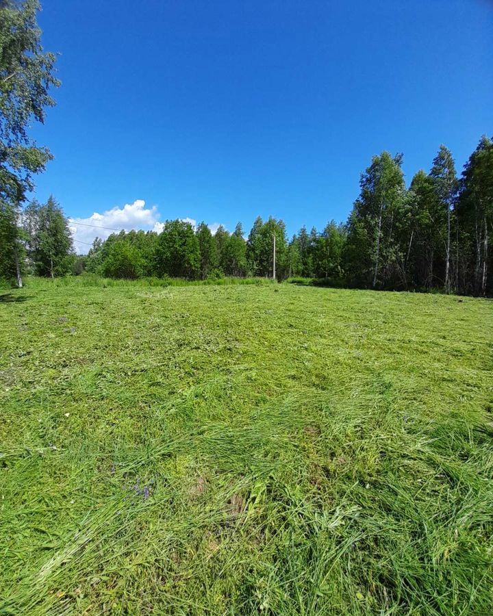 земля р-н Городецкий г Городец с. Смольки, Кляфинская ул фото 6