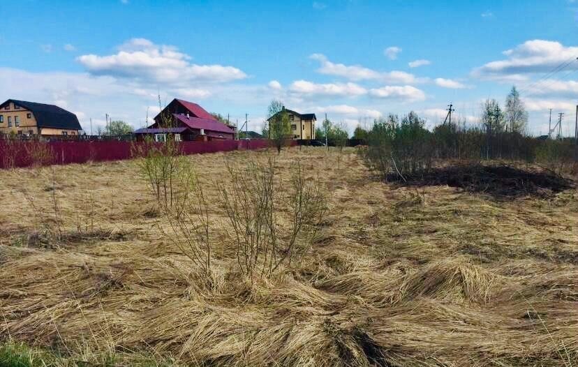 земля р-н Александровский д Лизуново ул Лесная муниципальное образование Каринское, Струнино фото 2