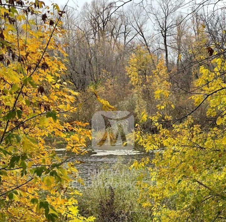 земля р-н Оренбургский снт Лесовод-2 сельсовет, 73-74, Пригородный фото 7