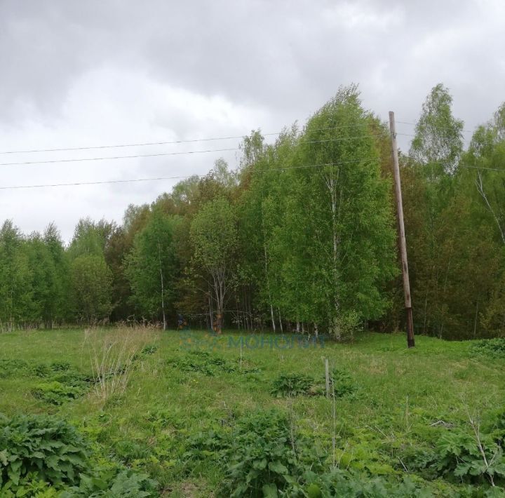 земля р-н Чкаловский д Котельницы Чкаловск городской округ фото 3