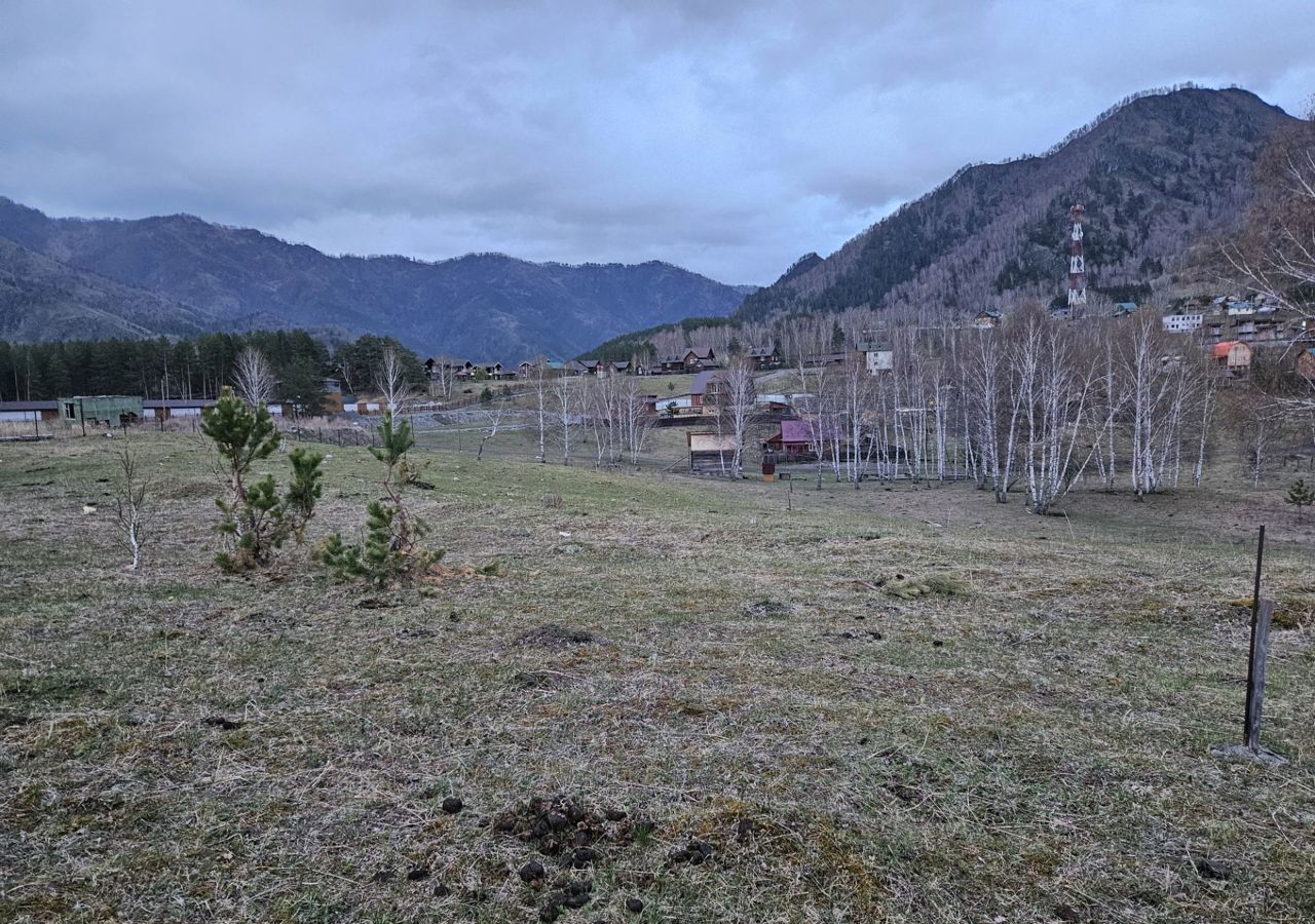 земля р-н Чемальский с Чемал Горно-Алтайск фото 4