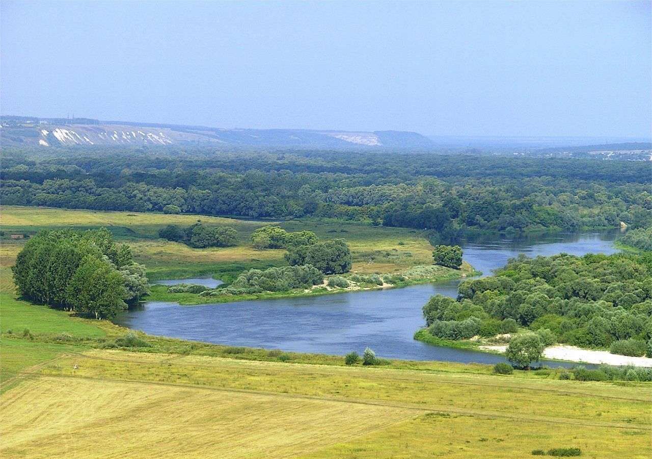 земля р-н Подгоренский х Кувшин Витебское сельское поселение, Павловск фото 1