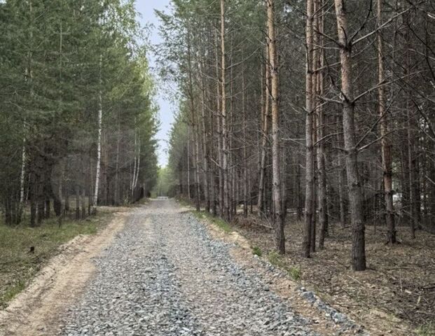 садовое товарищество Агат, улица Земляники фото