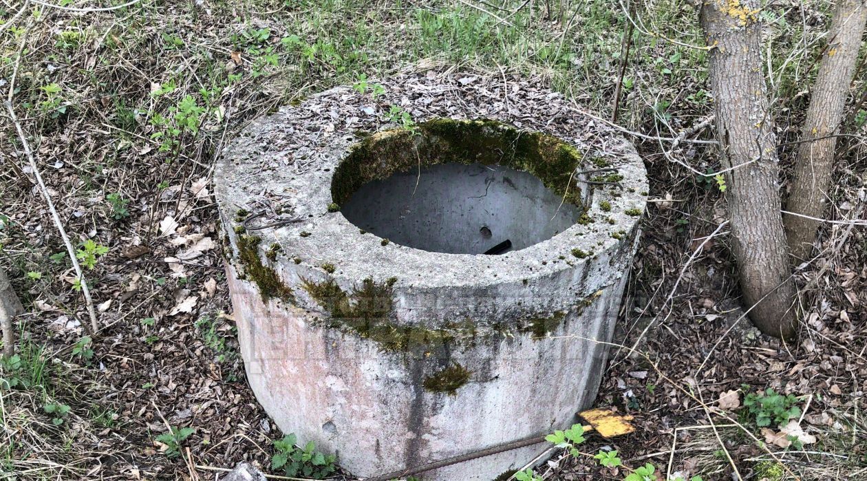 земля г Смоленск ул Парковая Михновское с/пос, д. Боровая фото 4