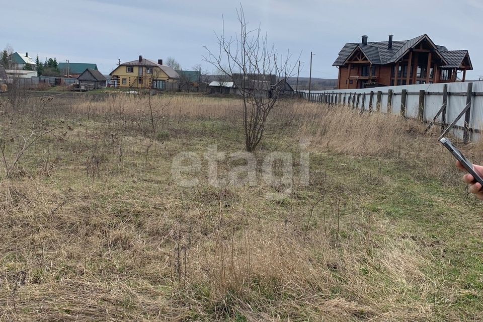 земля р-н Кочкуровский село Мурань фото 4