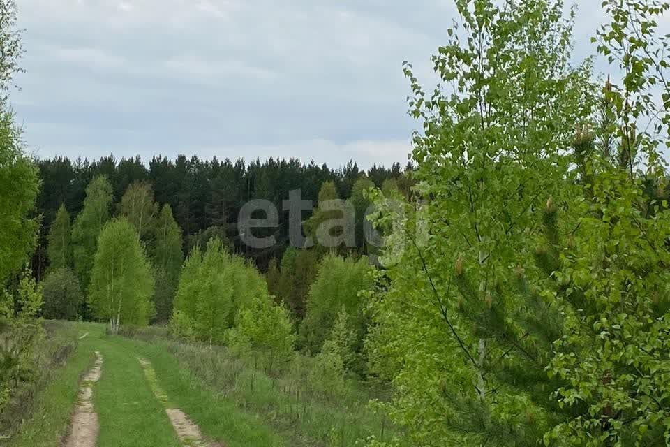 земля р-н Кемеровский д Жургавань ул Центральная фото 1