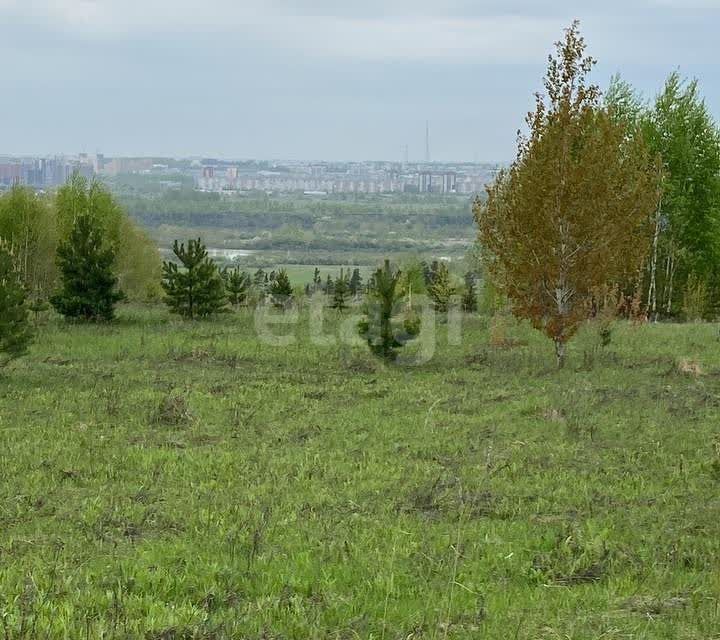 земля р-н Кемеровский д Жургавань ул Центральная фото 4