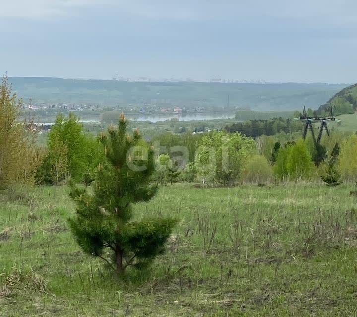 земля р-н Кемеровский д Жургавань ул Центральная фото 5