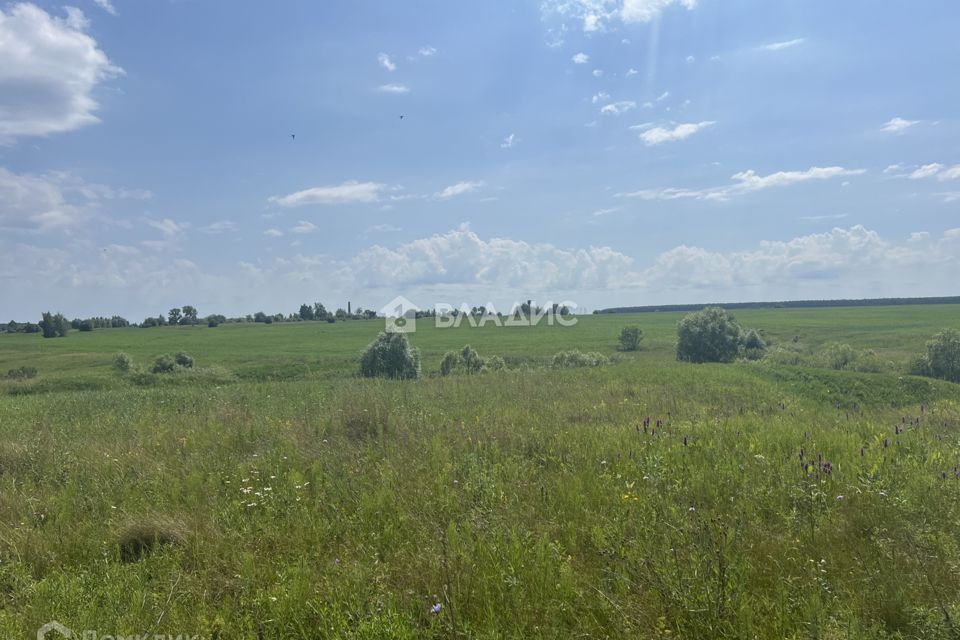 земля городской округ Луховицы СТ Берёзка-1 фото 10