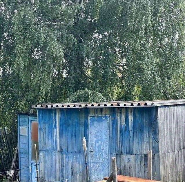 дом г Кинель пгт Усть-Кинельский мкр Студенцы фото 31