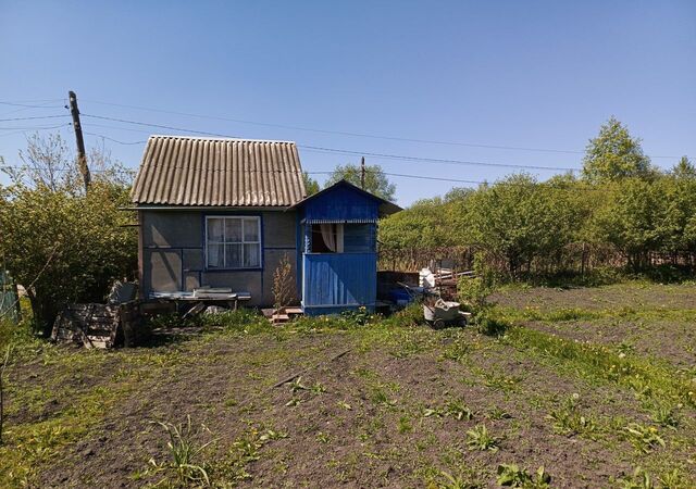 р-н Железнодорожный дачное товарищество Росток, садовое фото