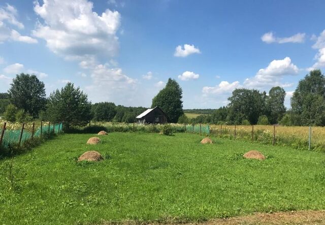 муниципальное образование Югское, д. Поповское Мусорский сельсовет, Шексна фото