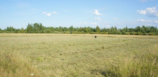 земля ул Нижневартовская Шимск фото