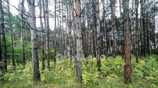 ул Горняк городское поселение Товарково фото