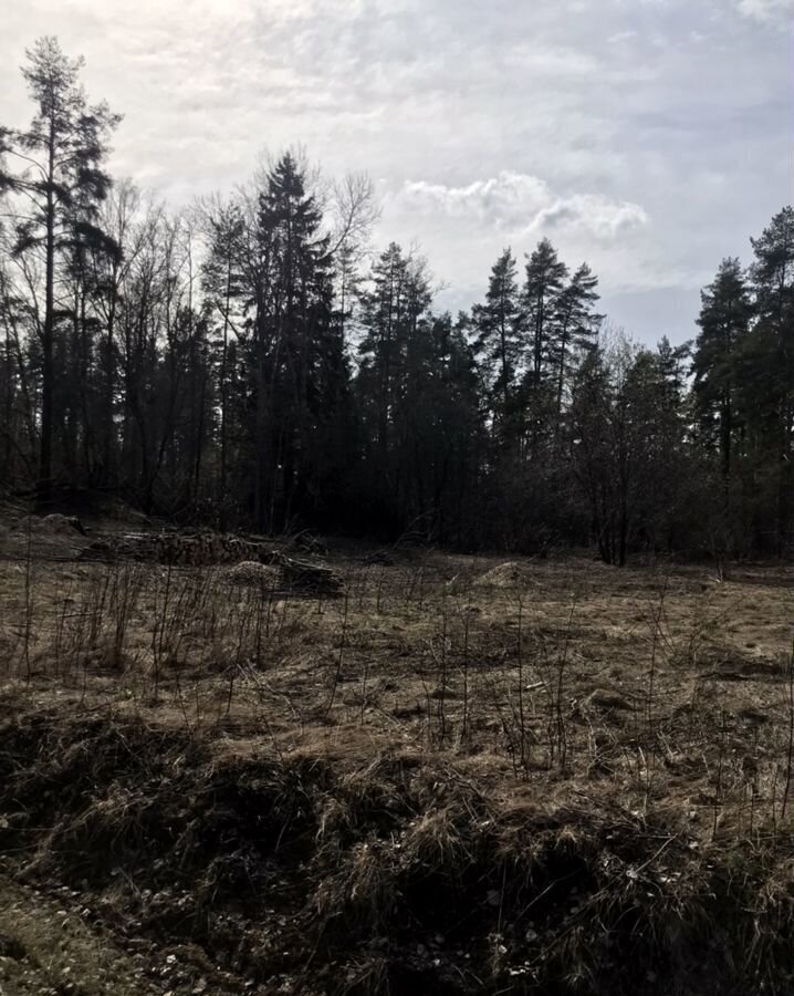 земля р-н Всеволожский д Васкелово Куйвозовское сельское поселение, коттеджный пос. Сосновка фото 33