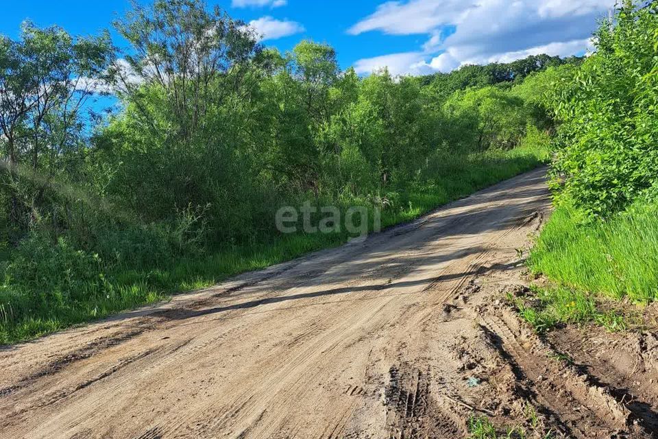 земля г Благовещенск село Верхнеблаговещенское, городской округ Благовещенск фото 9