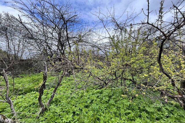 садовое товарищество Финансист, Сергиево-Посадский городской округ фото