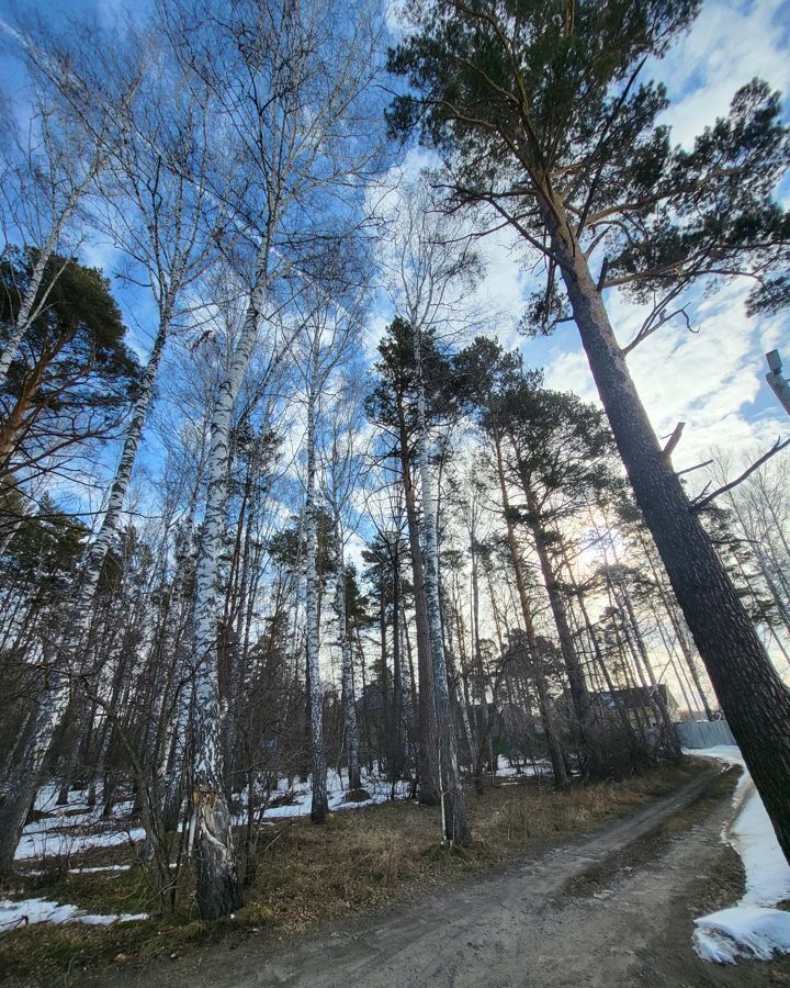 дом р-н Новосибирский п Каинская Заимка ул Боровая Бердское шоссе, 23 км, Барышевский сельсовет, Новосибирск фото 13