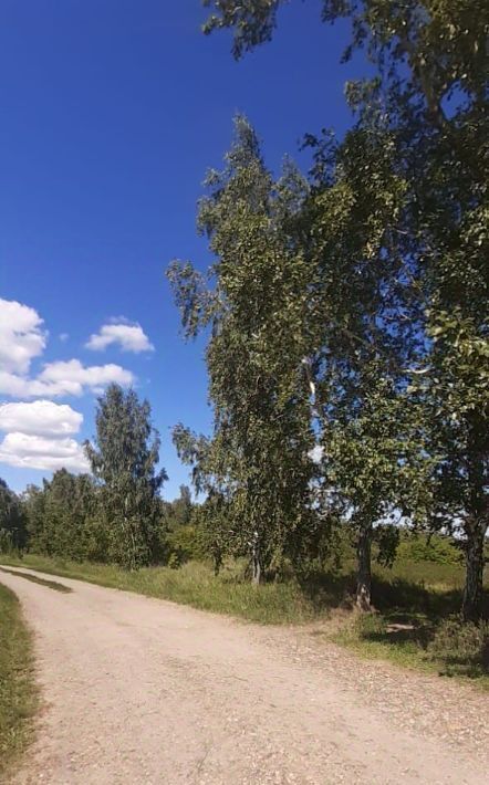 земля г Барнаул п Бельмесево ул Лучистая фото 8
