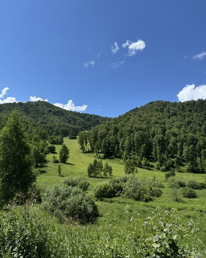 земля р-н Алтайский п Басаргино Алтайское фото 23