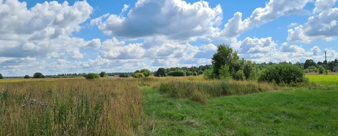 земля р-н Гатчинский п Сиверский Рождественское сельское поселение фото 4