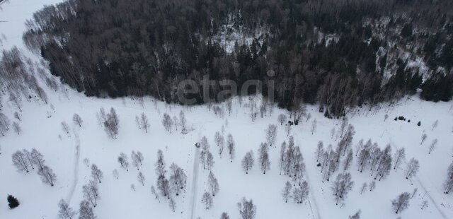 земля д Колычево фото