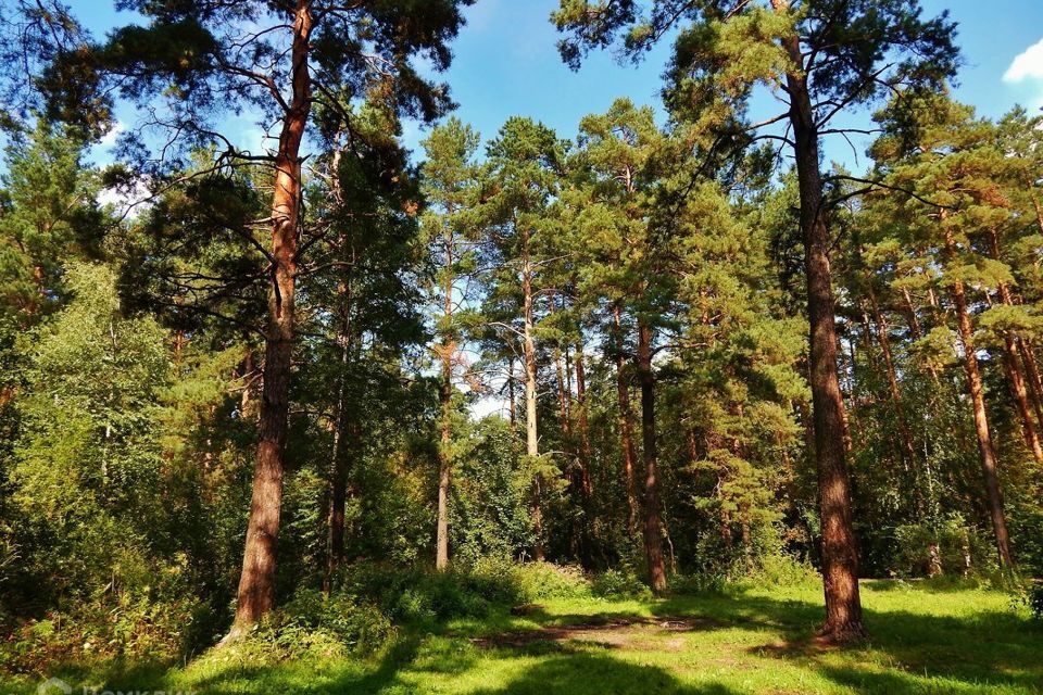 земля р-н Белоярский загородный комплекс Лайф, 4-я Парковая улица фото 1