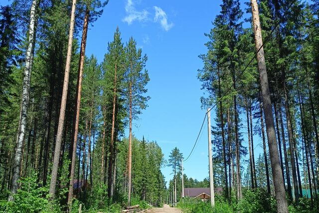 Добрянский городской округ, коттеджный посёлок Сотворение, Сосновый проезд, 24 фото