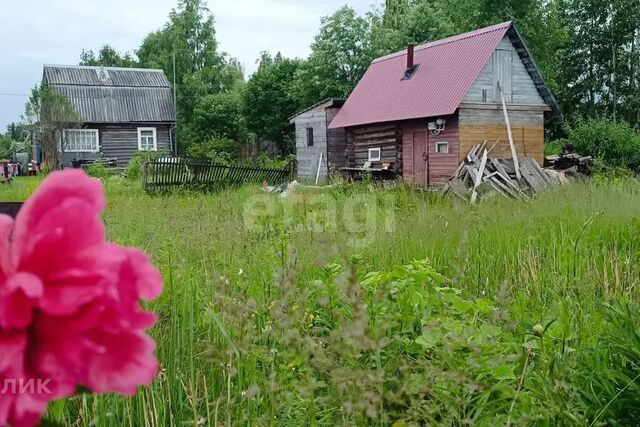 муниципальное образование Пажга фото