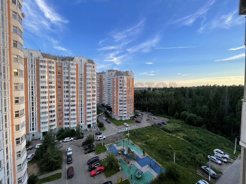 квартира городской округ Солнечногорск д Голубое Голубое д. Родниковая ул., 2 фото 11