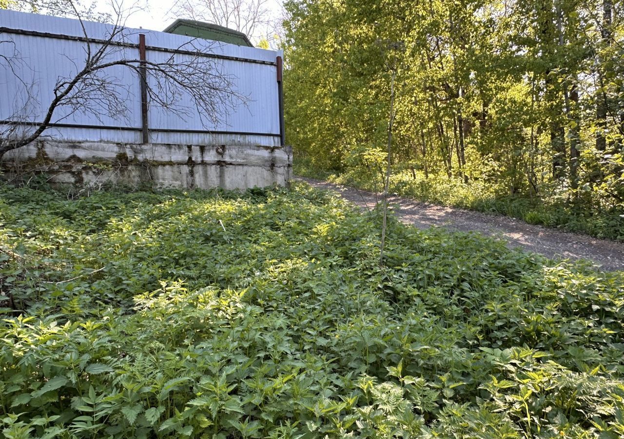 земля городской округ Дмитровский п Андрейково 61, Деденево фото 12