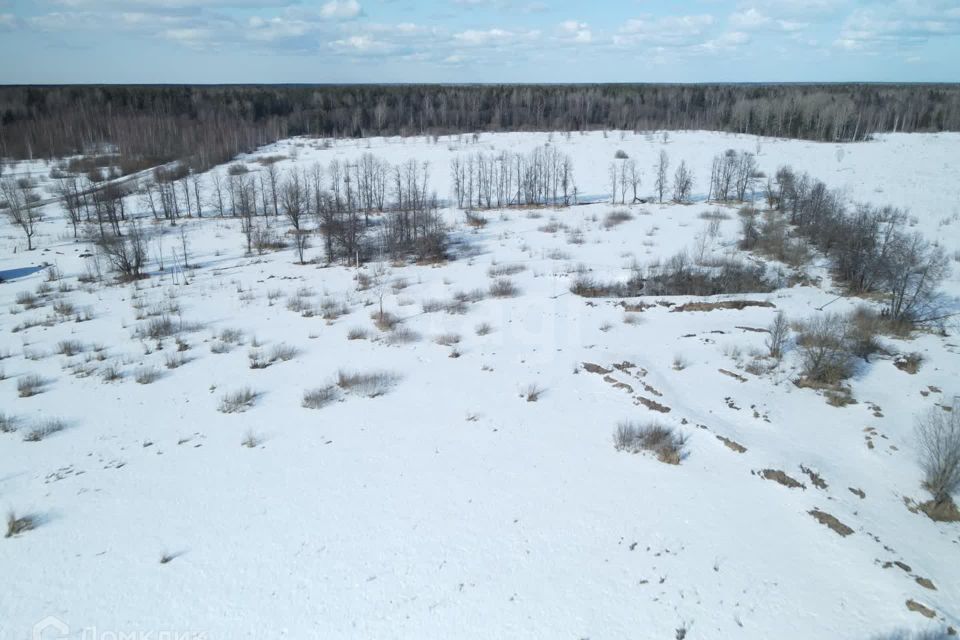 земля городской округ Клин жилой комплекс Микляево Форест Клаб фото 4