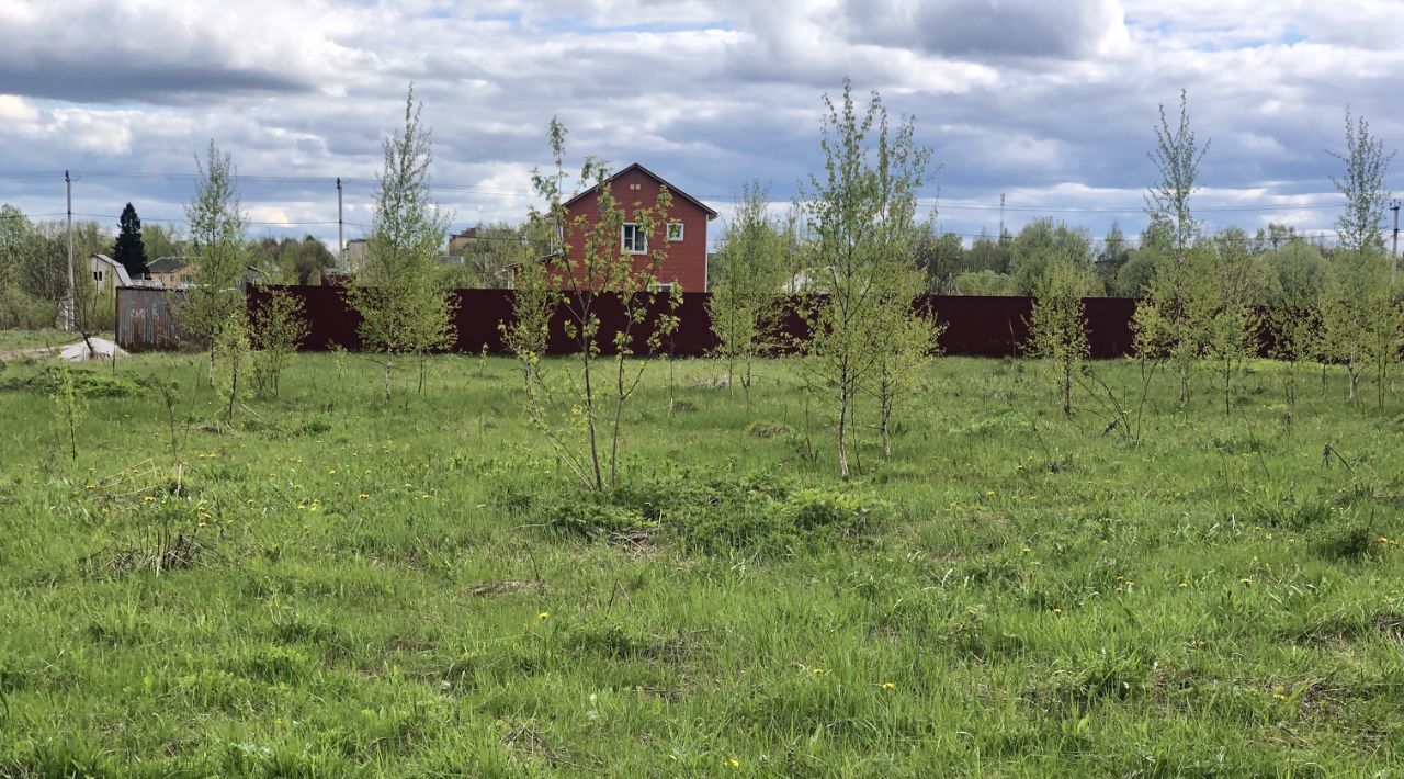 земля городской округ Щёлково рп Фряново ул Пролетарская 9 городской округ Щёлково фото 4