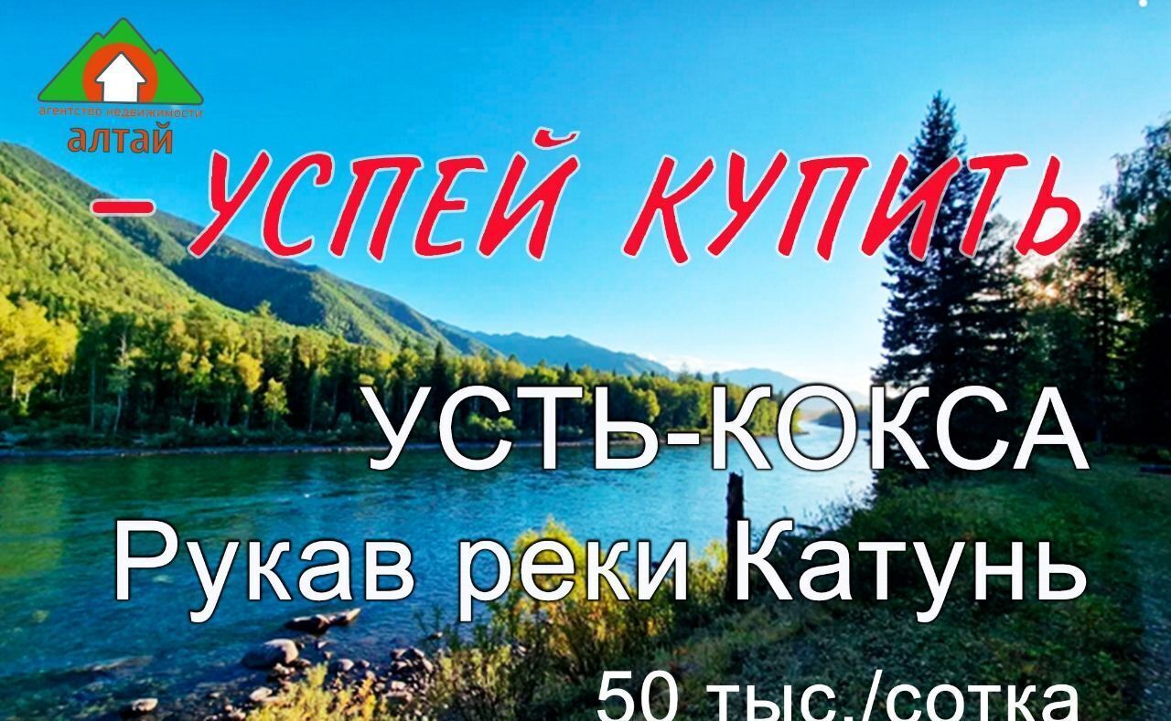 земля р-н Усть-Коксинский с Верх-Уймон Усть-Кокса фото 1