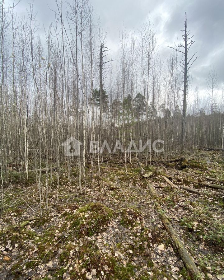 земля р-н Всеволожский г Всеволожск Всеволожское городское поселение, мкр-н Бернгардовка фото 1