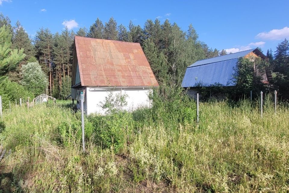 земля г Чайковский снт N 1 Южное Чайковский городской округ, 477 фото 3