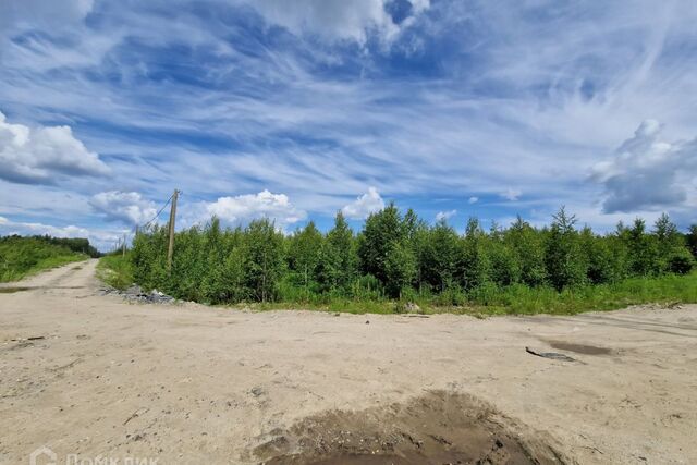 земля Древлянка пр-д Ночной Петрозаводский городской округ фото