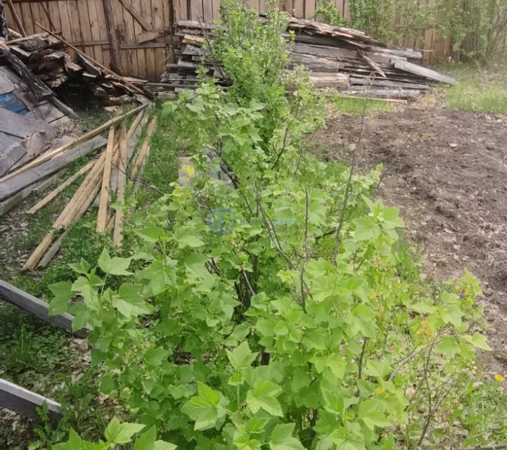 земля р-н Кетовский д Лукино снт Раздолье-4 ул Брусничная 671 фото 4